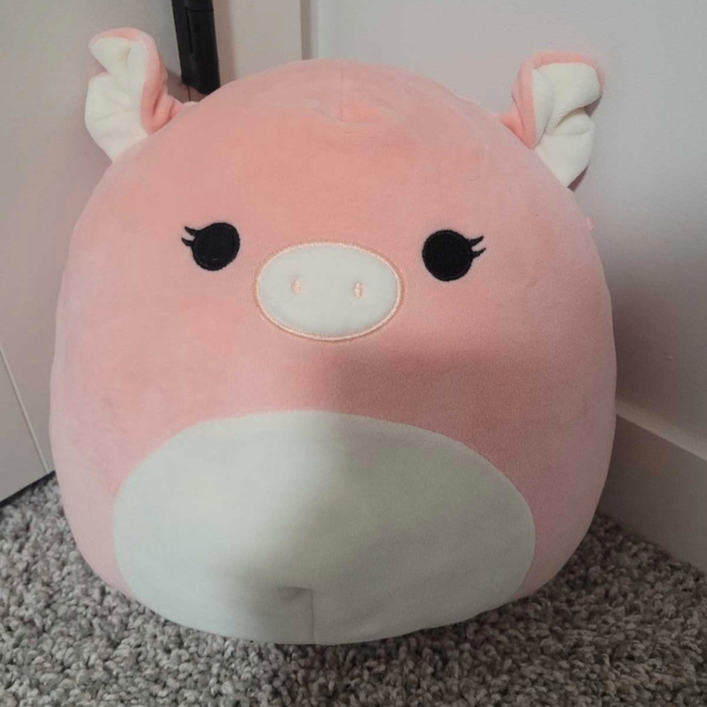 medium pig squishmallow